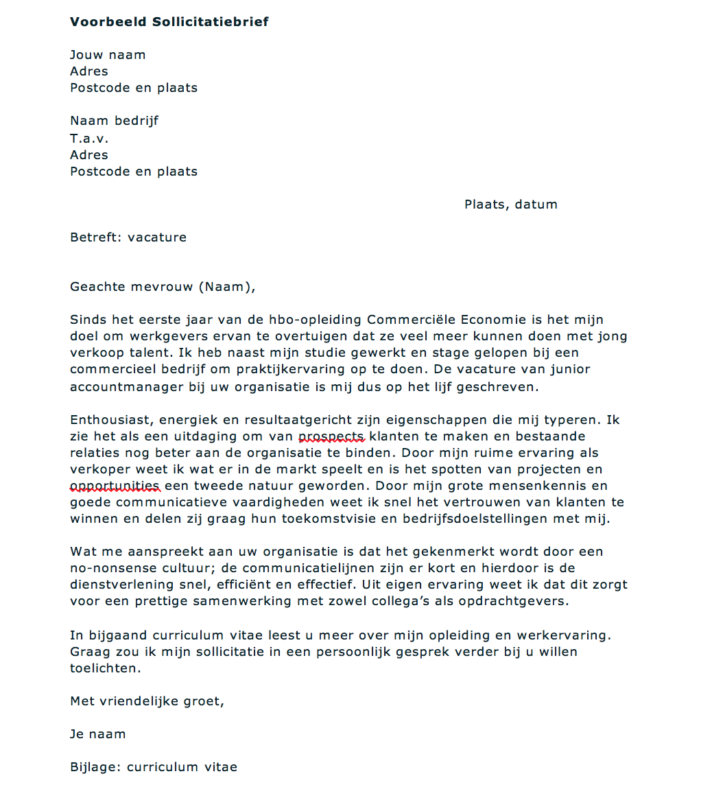 Voorbeeld business plan rabobank america
